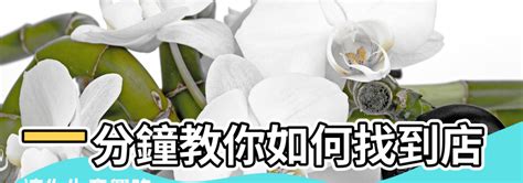 店舖財位|【店面風水財位怎麼找】一分鐘教你如何找到店鋪風水財位 